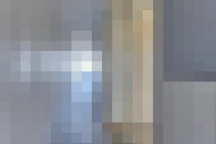 Korenbloem 74 Zwaag thumbnail 14