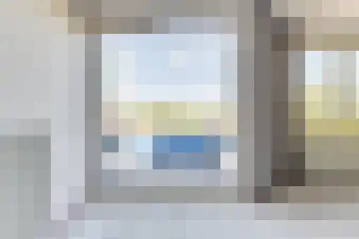 Korenbloem 74 Zwaag thumbnail 16