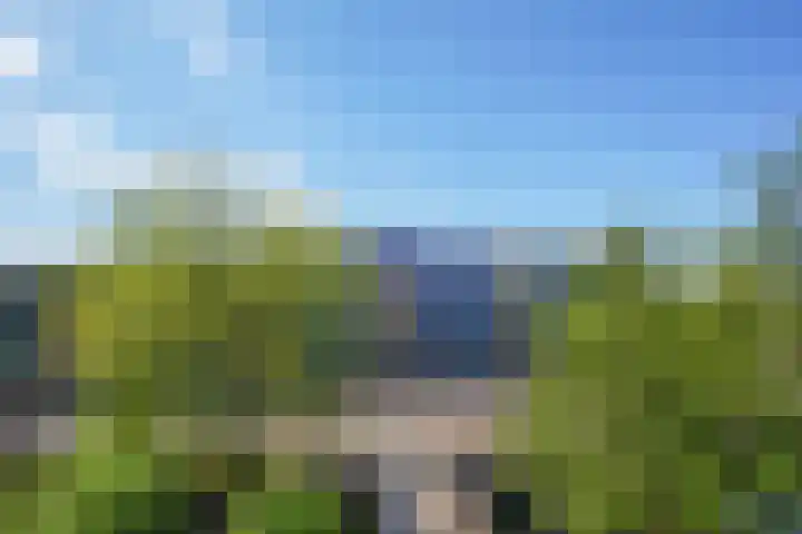 Korenbloem 74 Zwaag thumbnail 26