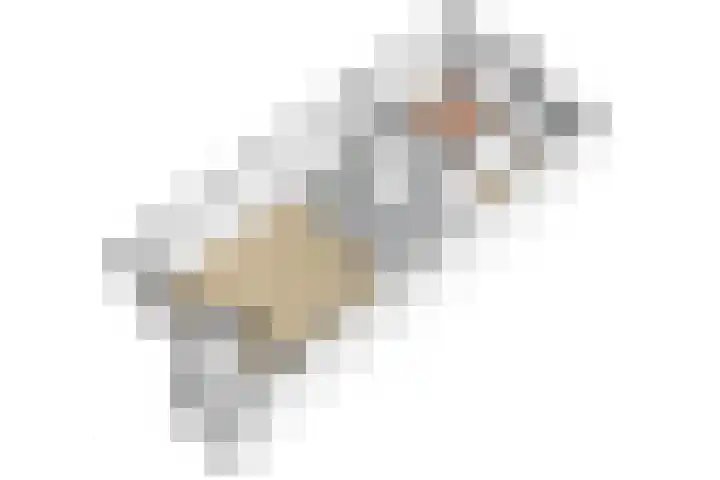 Korenbloem 74 Zwaag thumbnail 31