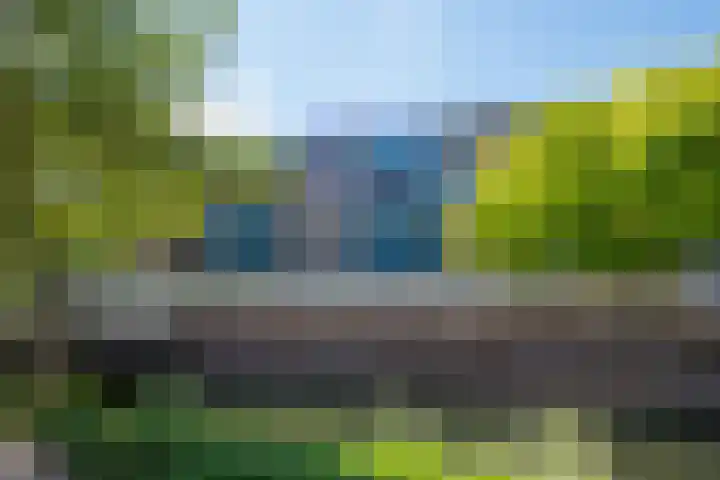 Korenbloem 74 Zwaag thumbnail 35