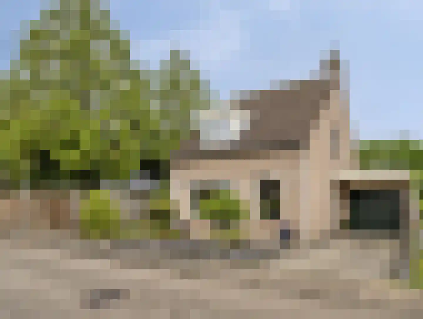 Korenbloem 8 Best