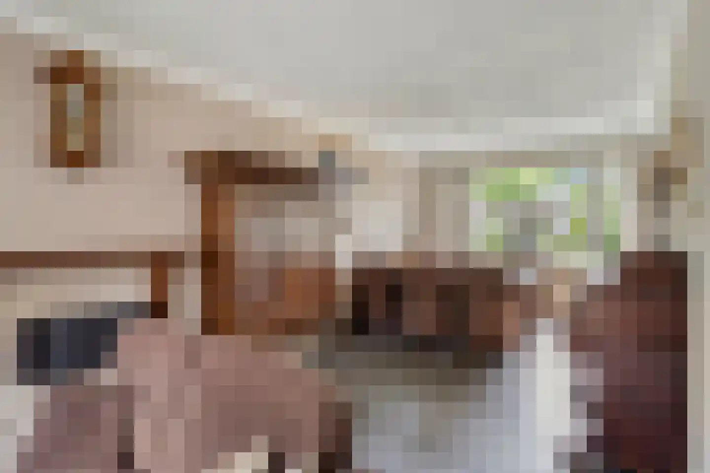 Korenbloem 8 Best thumbnail 13