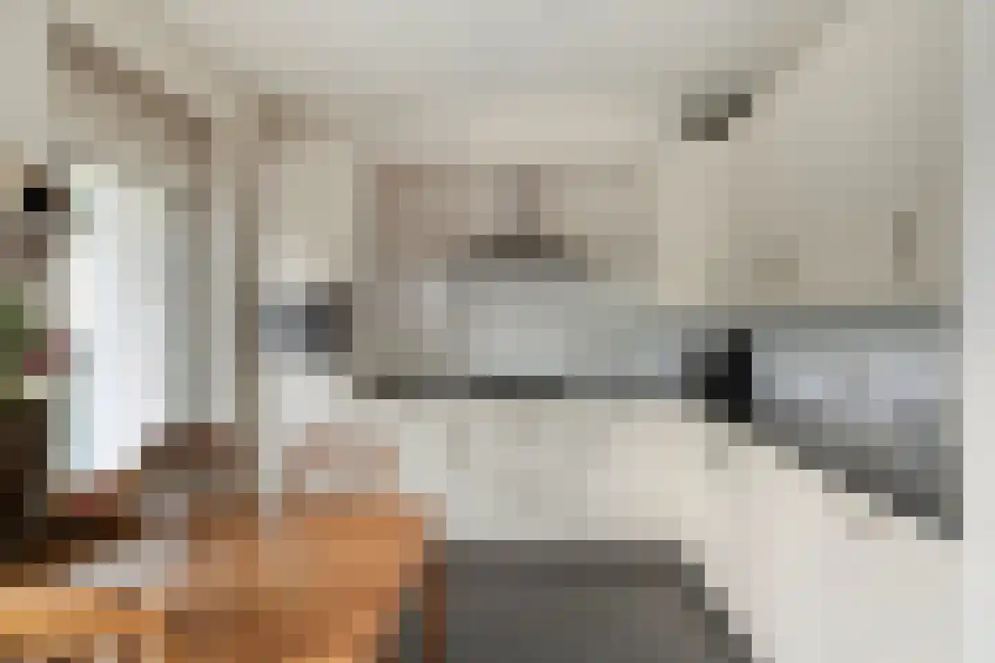 Korenbloem 8 Best thumbnail 4