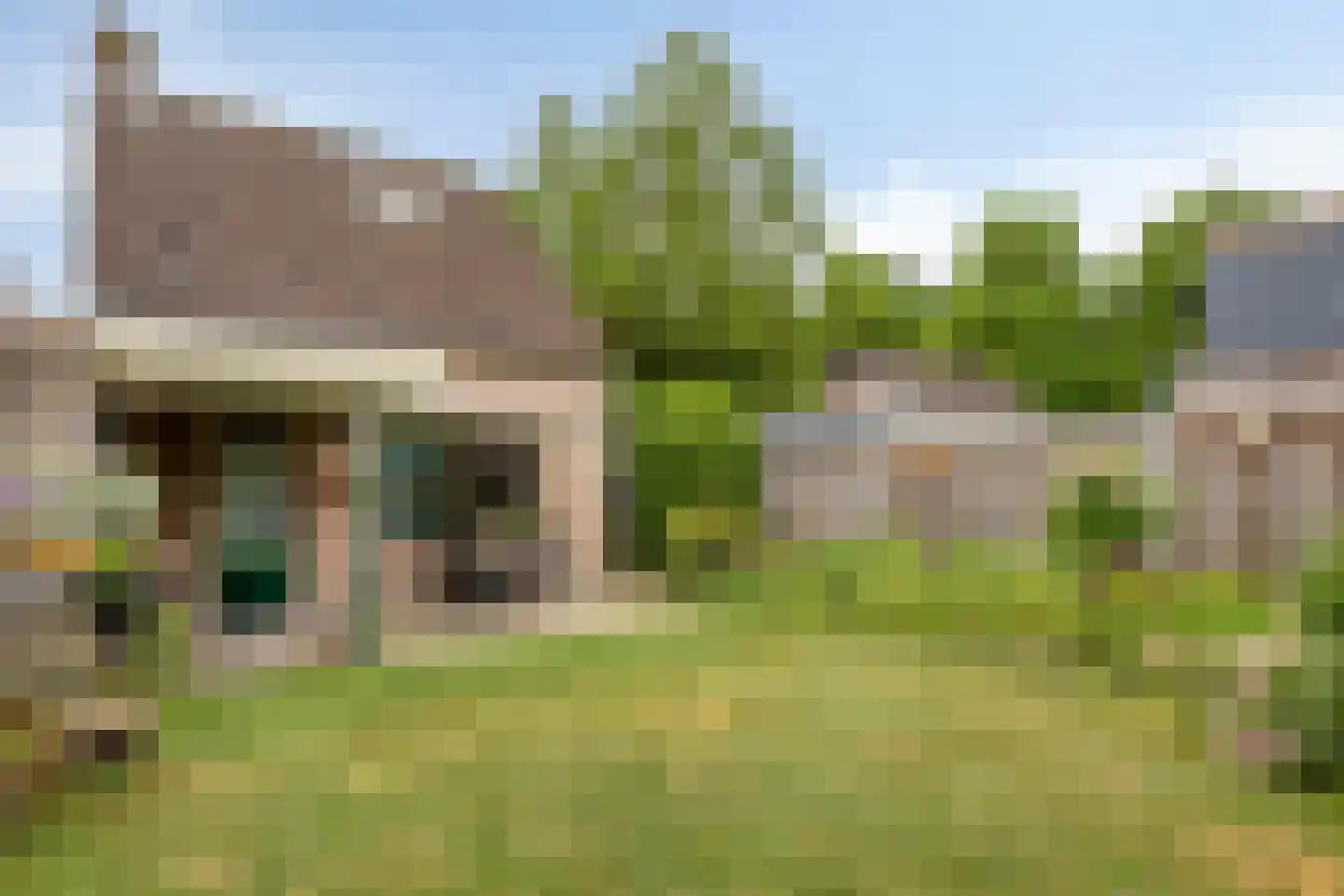 Korenbloem 8 Best thumbnail 40