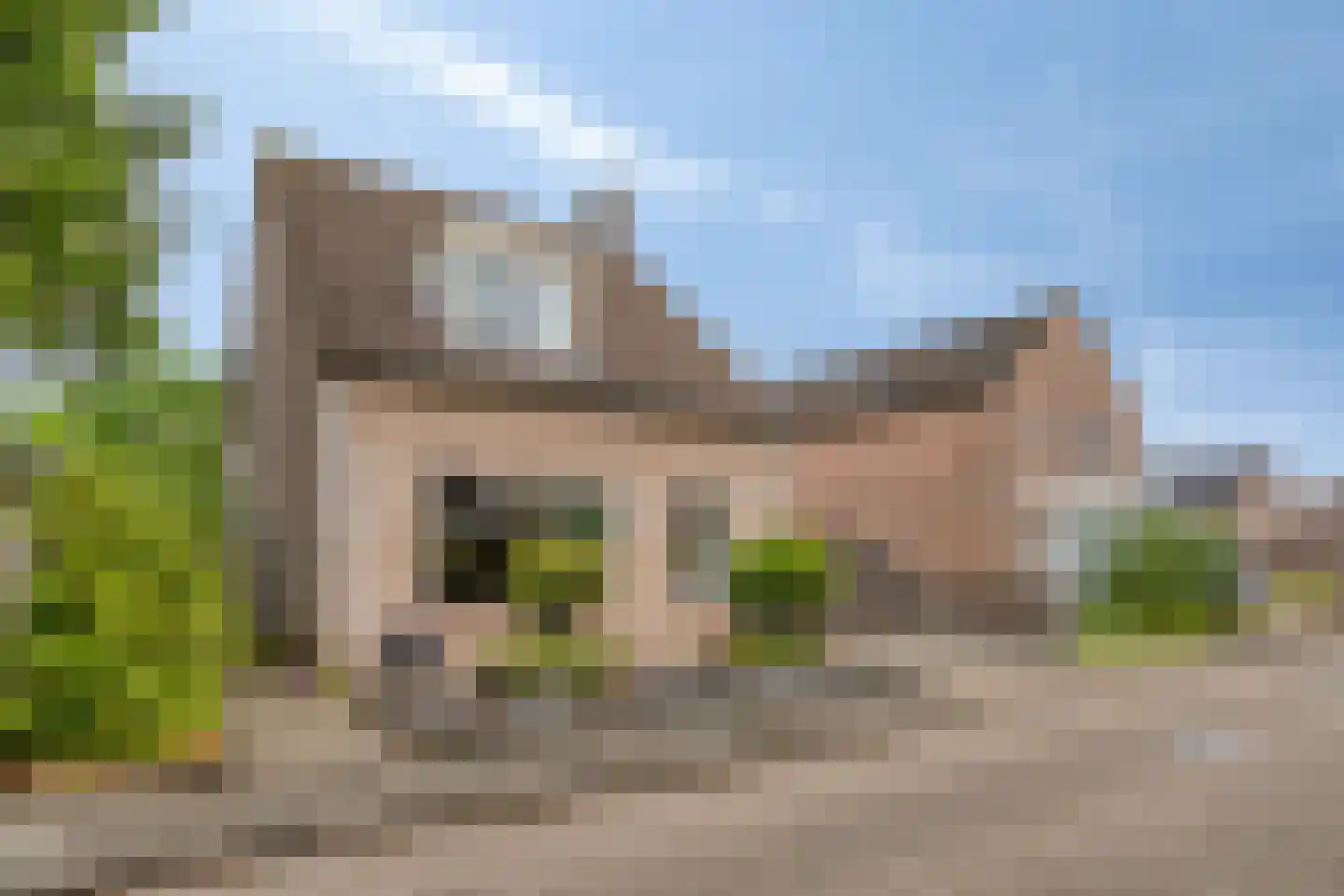 Korenbloem 8 Best thumbnail 41