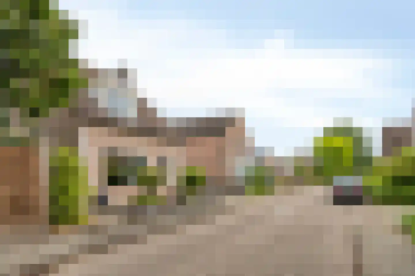 Korenbloem 8 Best thumbnail 42