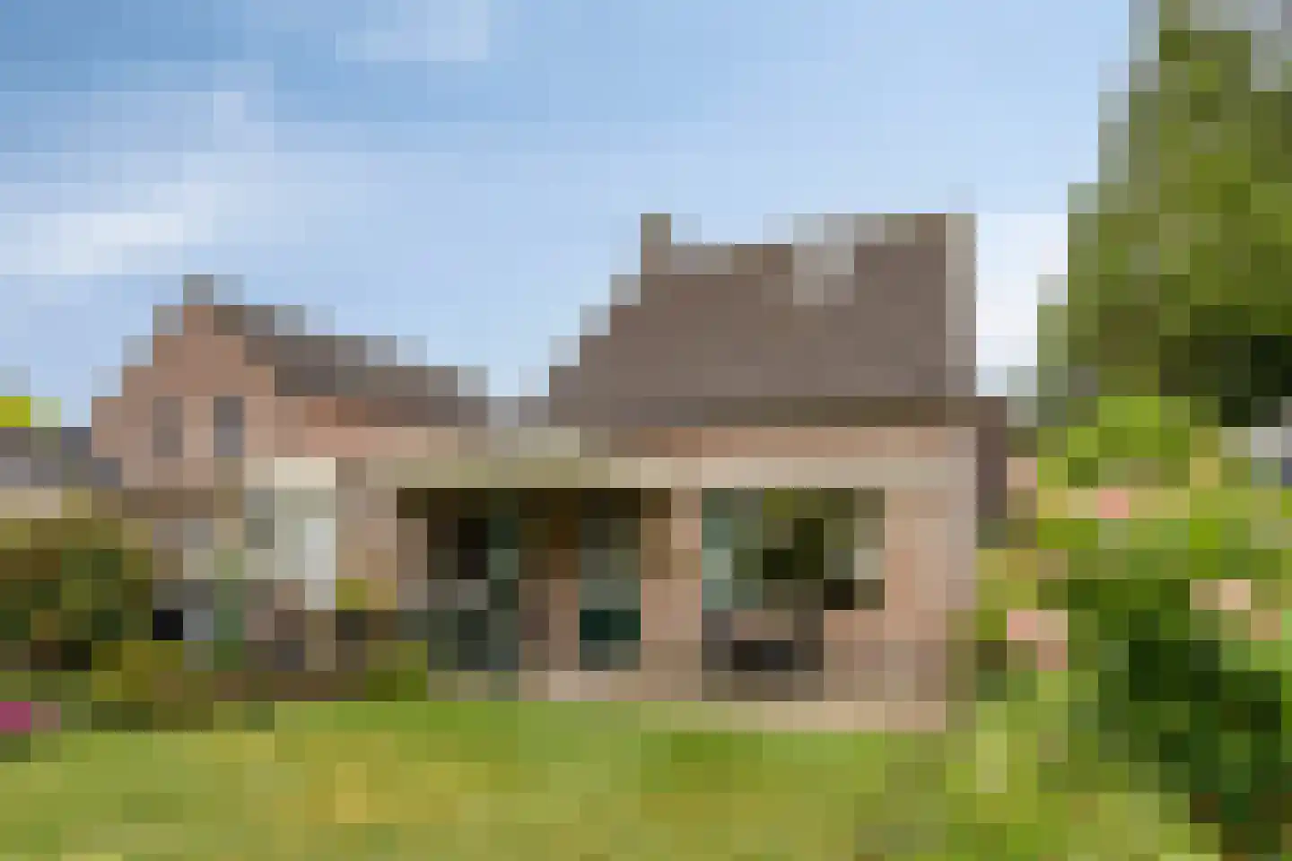 Korenbloem 8 Best thumbnail 5