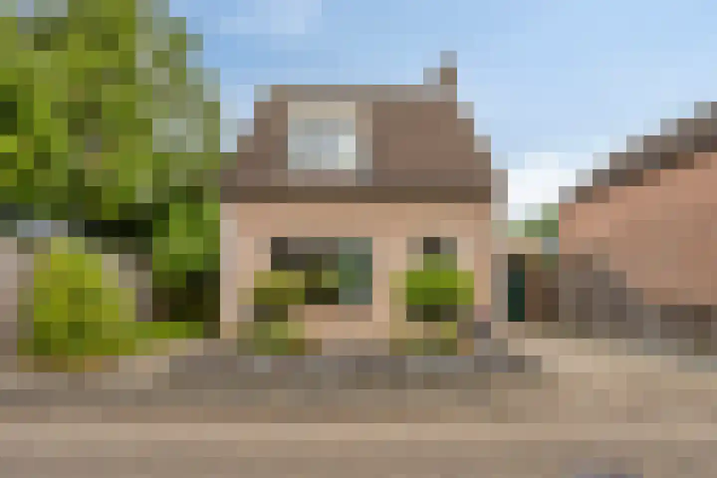 Korenbloem 8 Best thumbnail 6