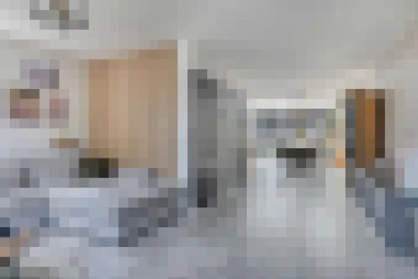 Korenbloem 8 Boekel thumbnail 10