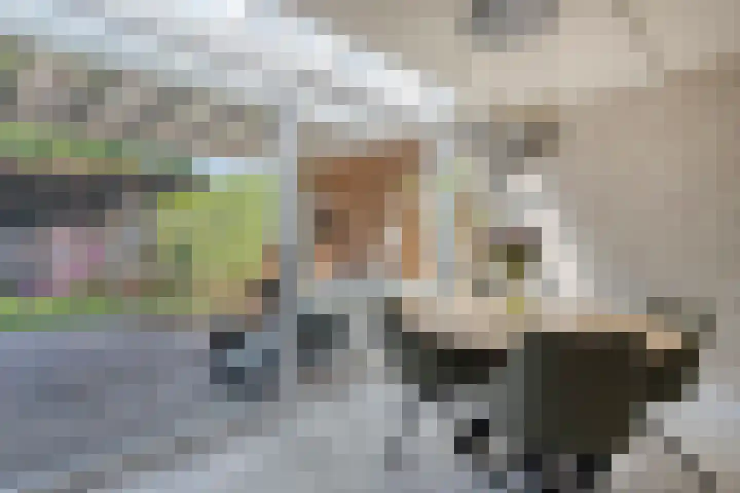 Korenbloem 8 Boekel thumbnail 13