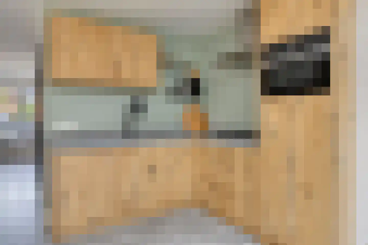 Korenbloem 8 Boekel thumbnail 15