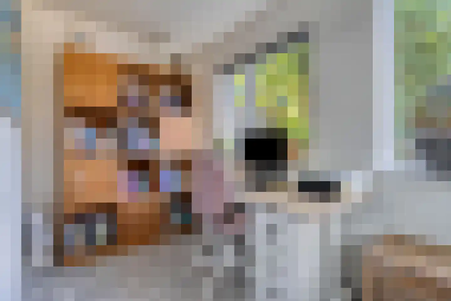 Korenbloem 8 Boekel thumbnail 21