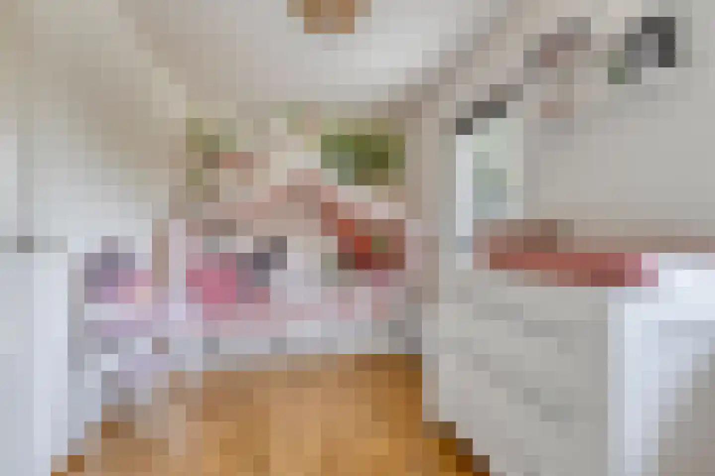 Korenbloem 8 Boekel thumbnail 26