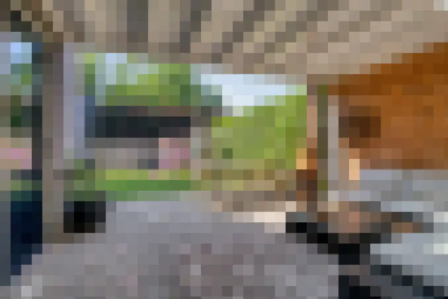 Korenbloem 8 Boekel thumbnail 35