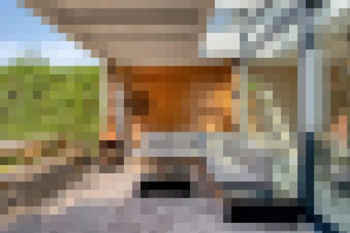 Korenbloem 8 Boekel thumbnail 36