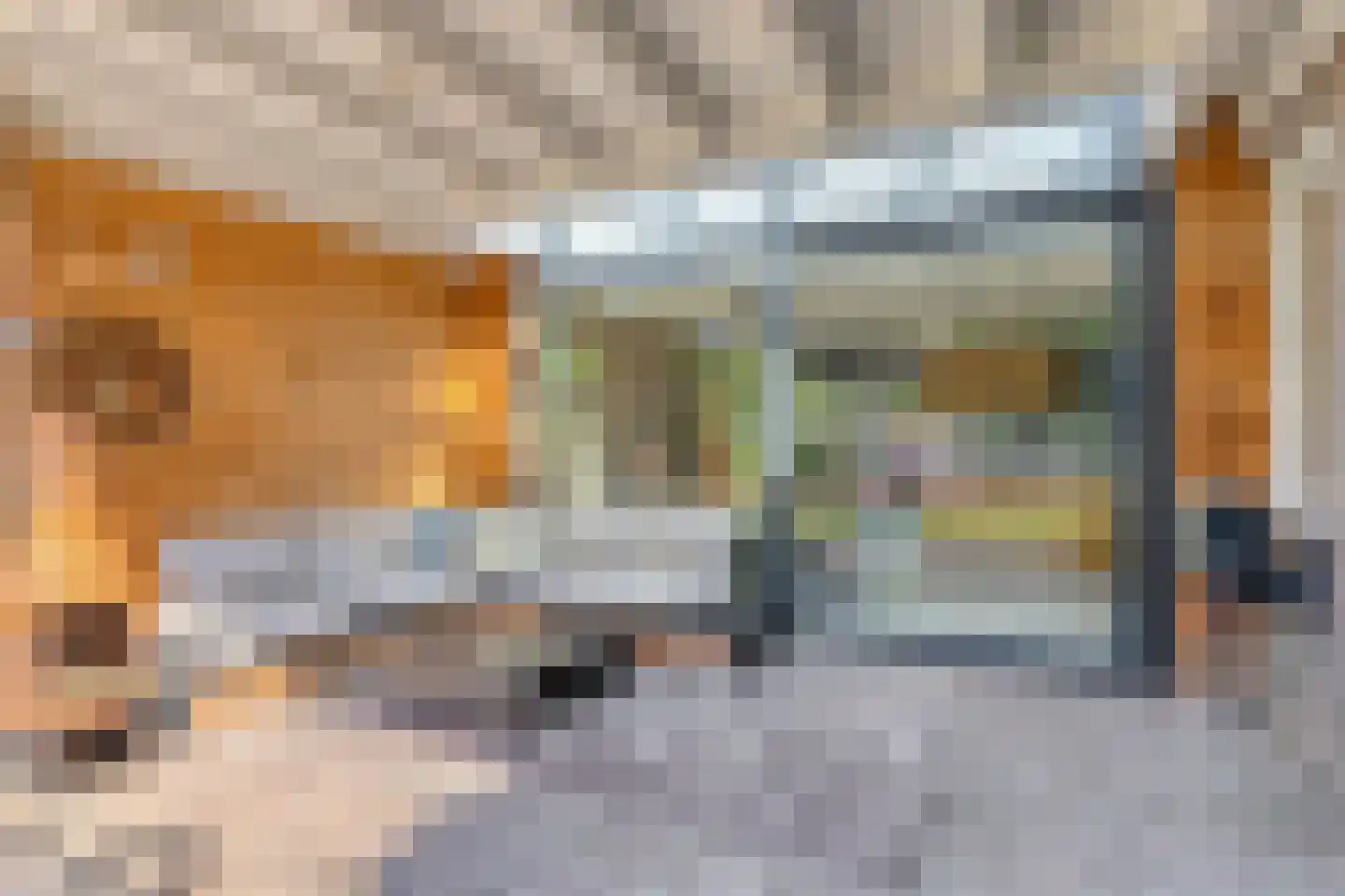 Korenbloem 8 Boekel thumbnail 28