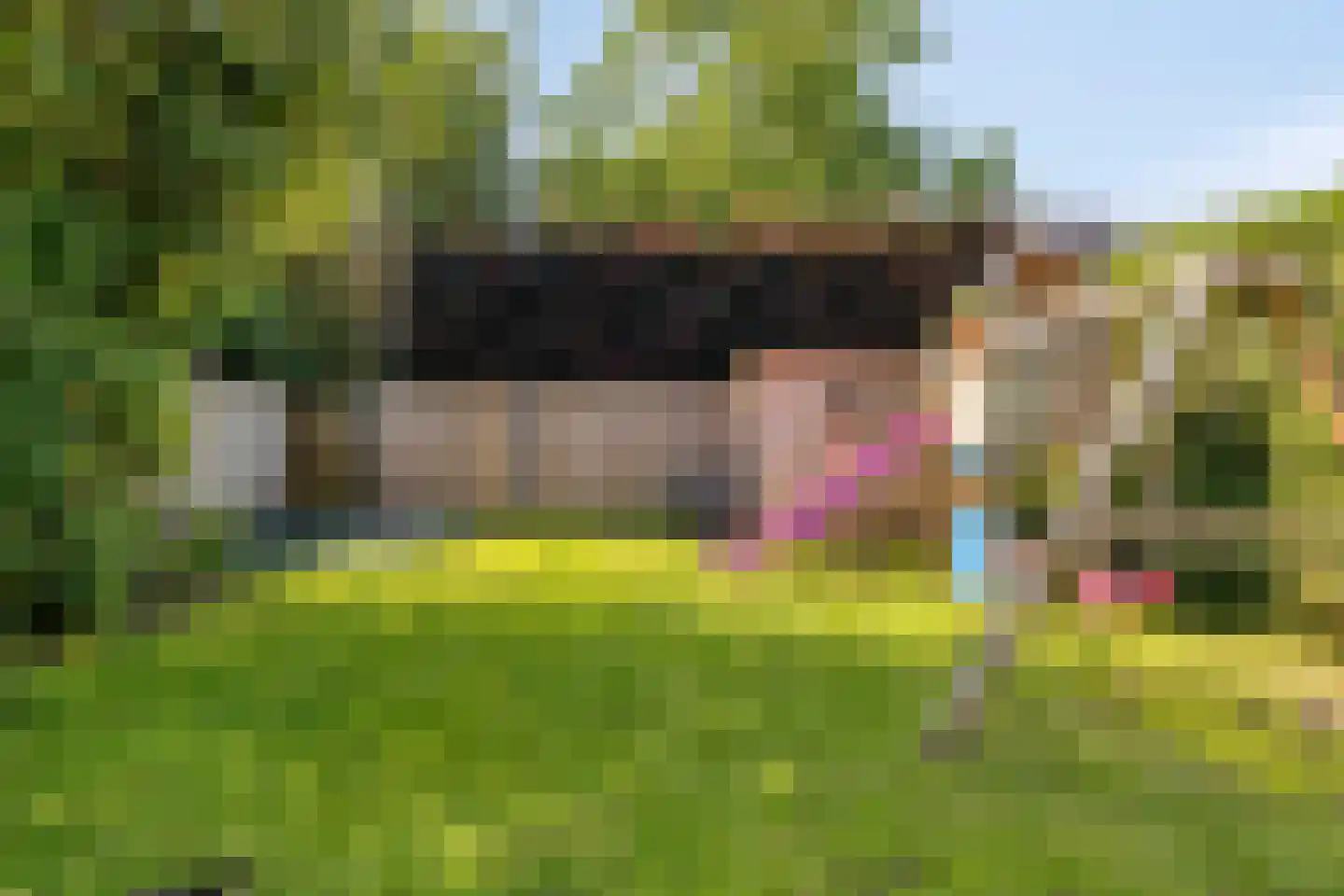 Korenbloem 8 Boekel thumbnail 38