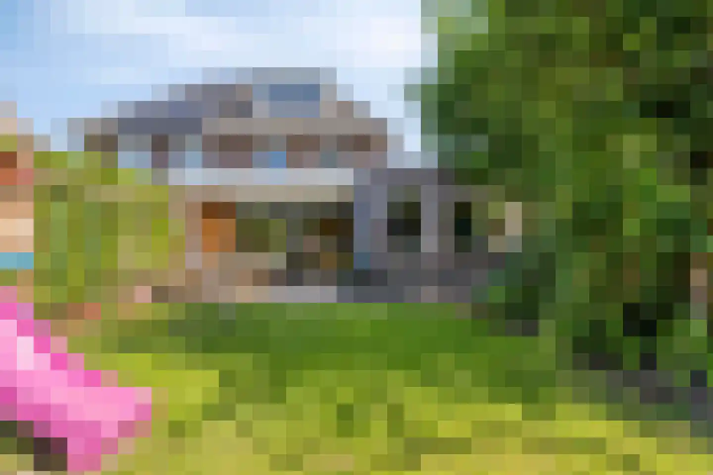 Korenbloem 8 Boekel thumbnail 40