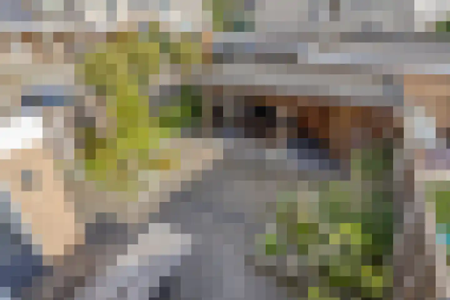 Korenbloem 8 Haaksbergen thumbnail 30