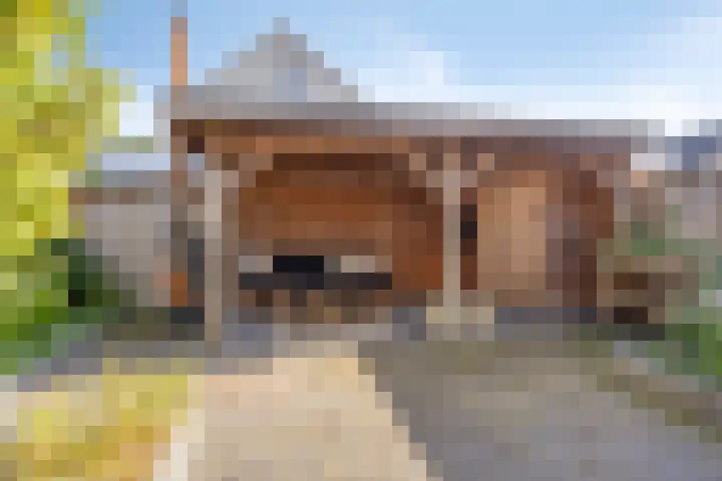 Korenbloem 8 Haaksbergen thumbnail 39