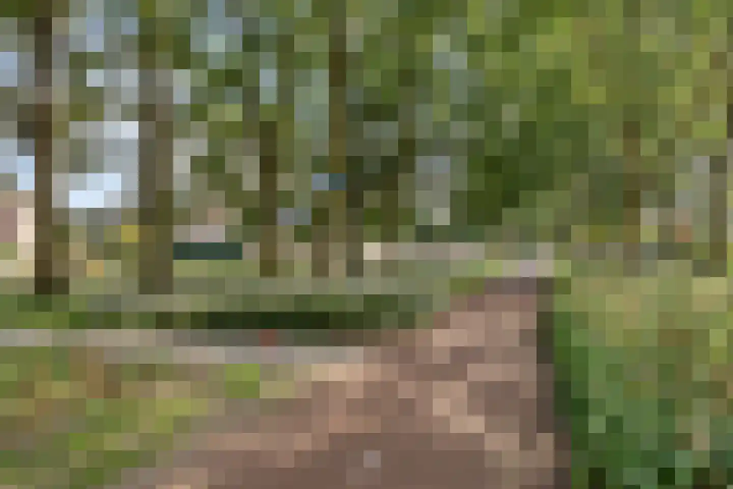 Korenbloem 8 Haaksbergen thumbnail 45