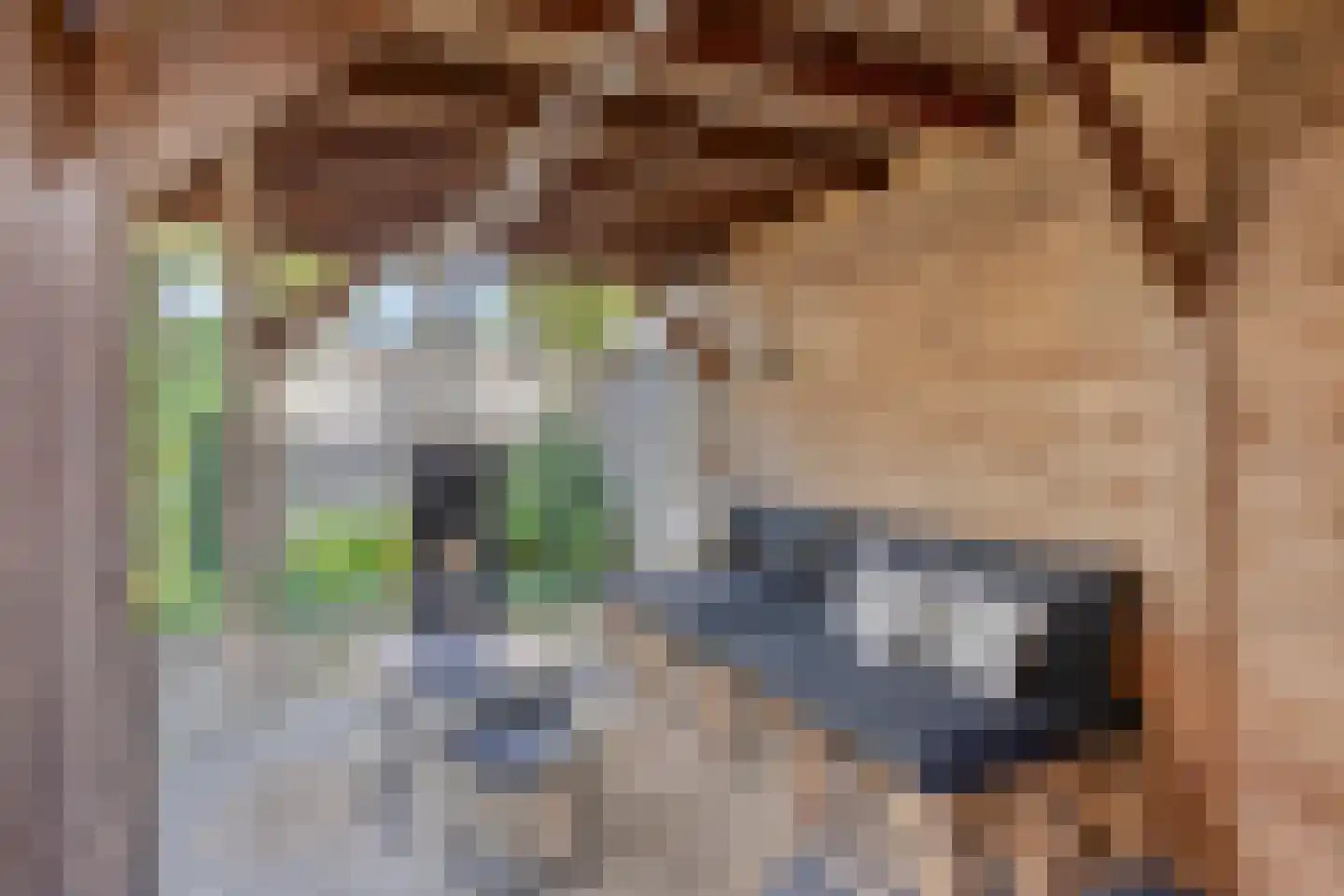 Korenbloem 8 Haaksbergen thumbnail 8