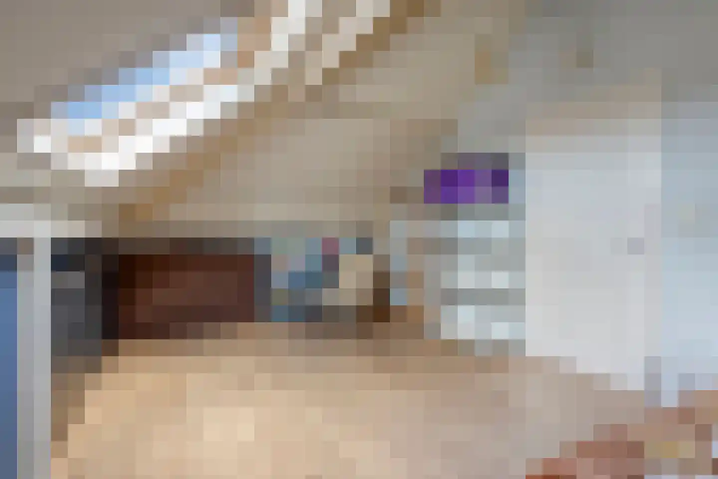 Korenbloem 9 Boekel thumbnail 32
