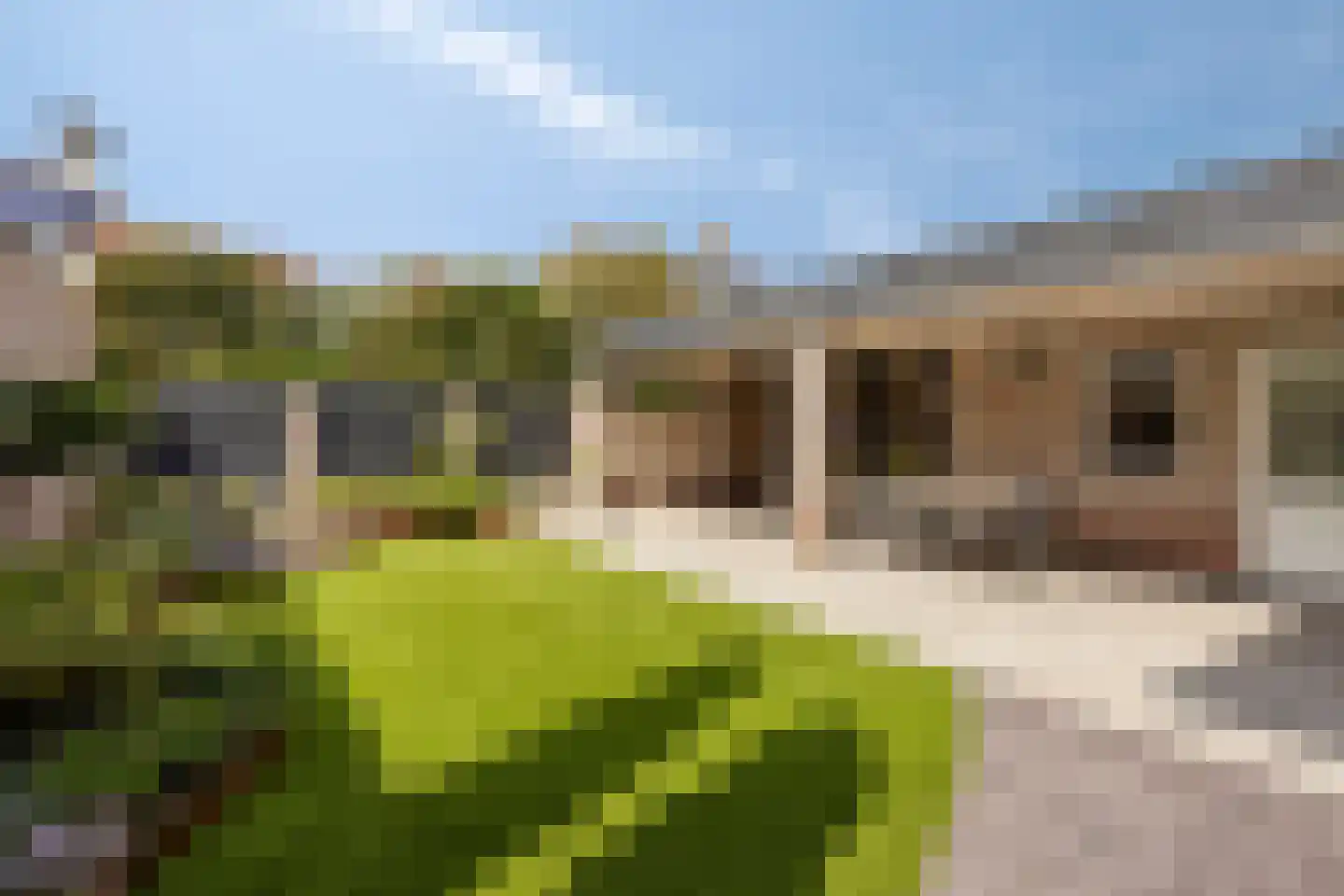 Korenbloem 9 Boekel thumbnail 34