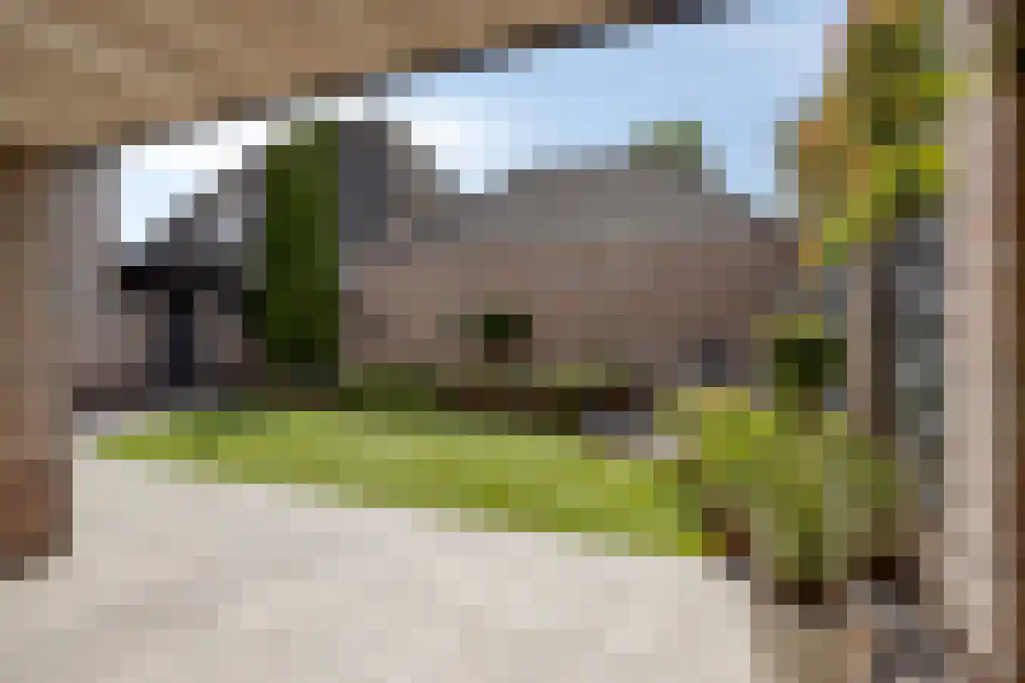 Korenbloem 9 Boekel thumbnail 35