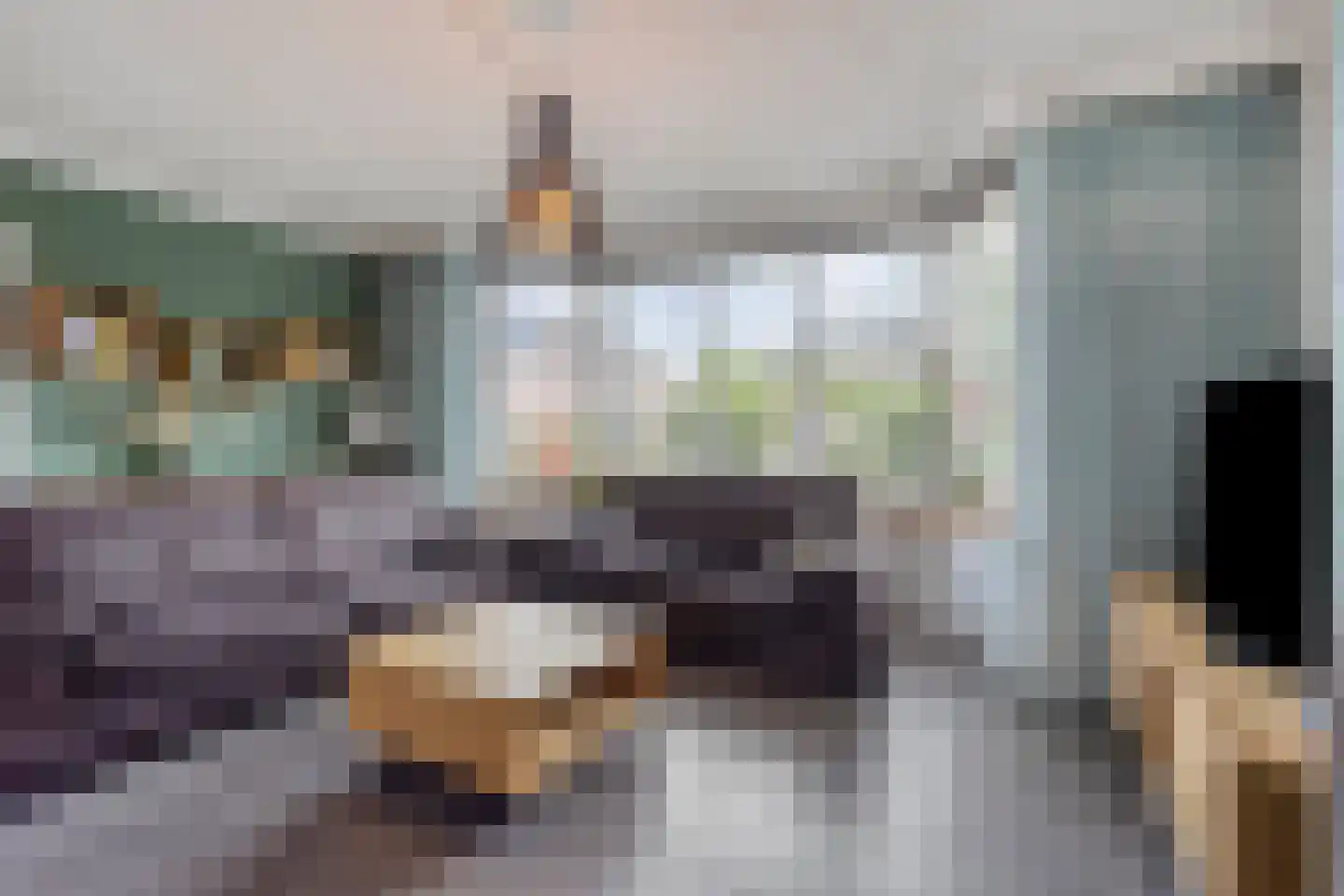 Korenbloem 9 Boekel thumbnail 5