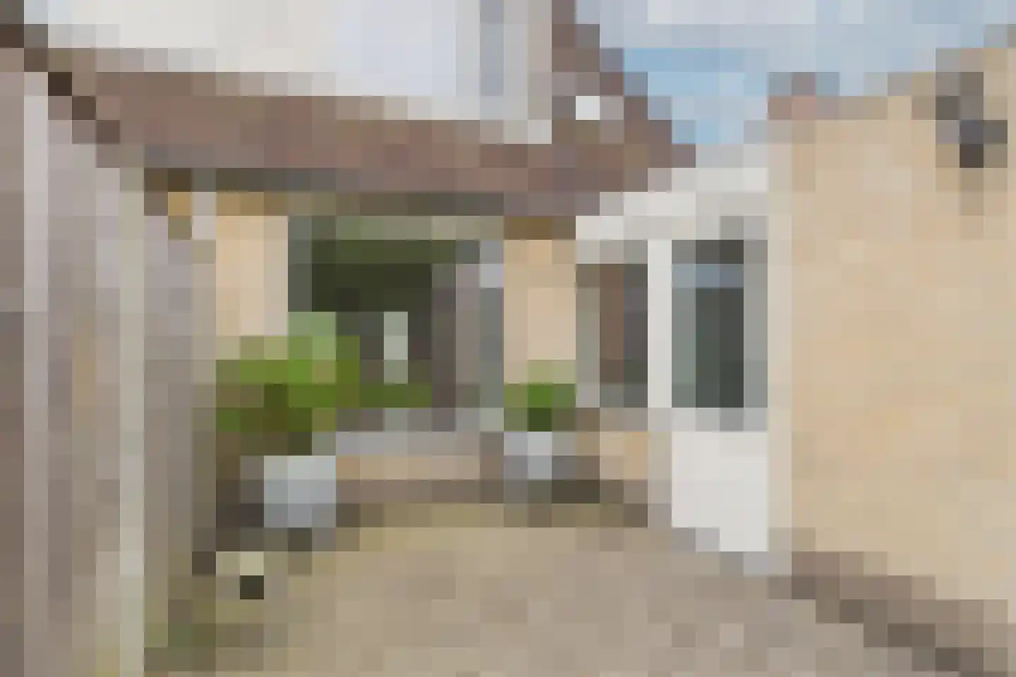 Korenbloem 9 Hulst thumbnail 39