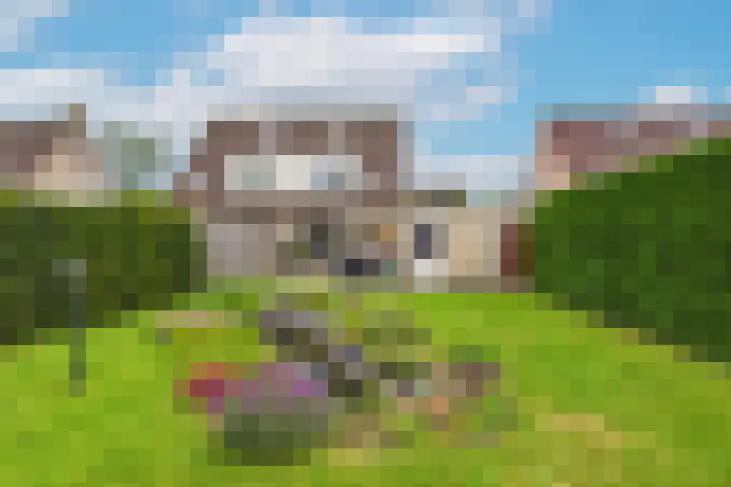 Korenbloem 9 Hulst thumbnail 40