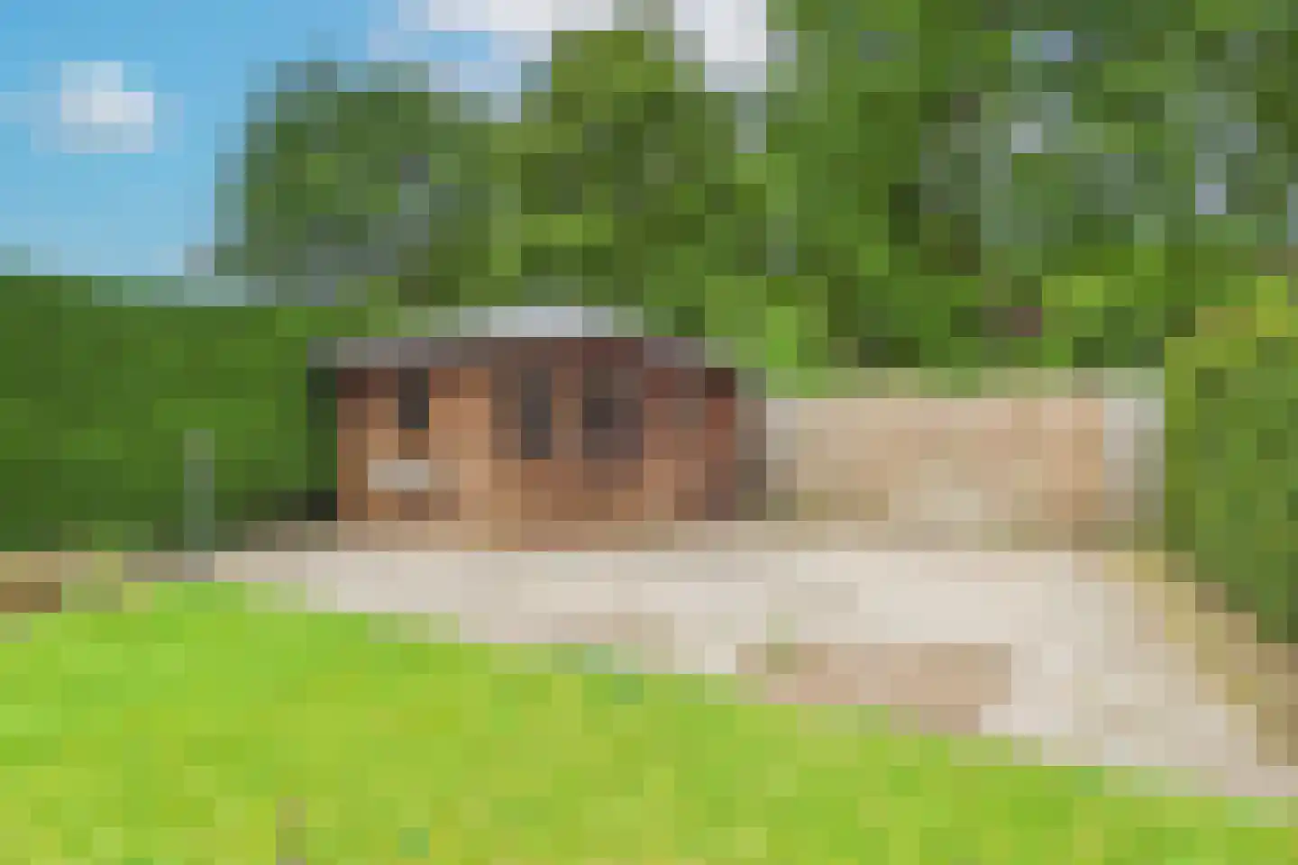 Korenbloem 9 Hulst thumbnail 42