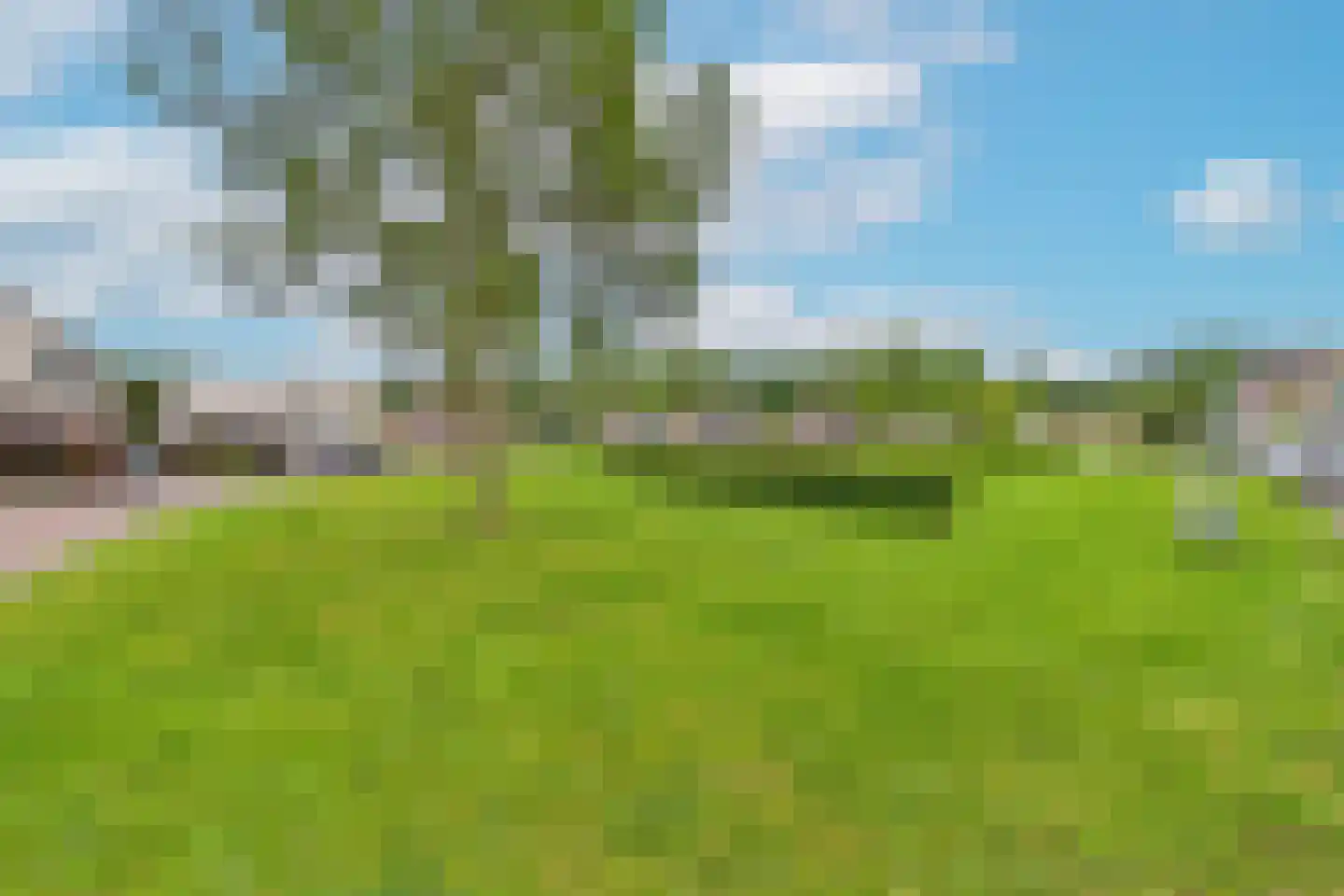 Korenbloem 9 Hulst thumbnail 44
