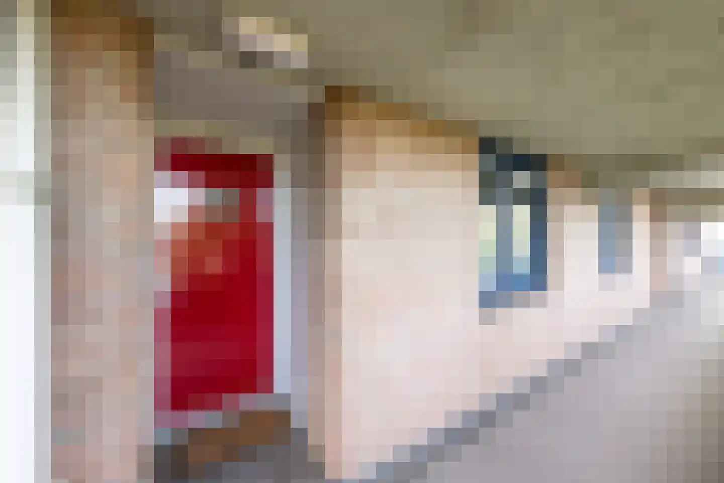 Korenbloem 94 Zwaag thumbnail 8
