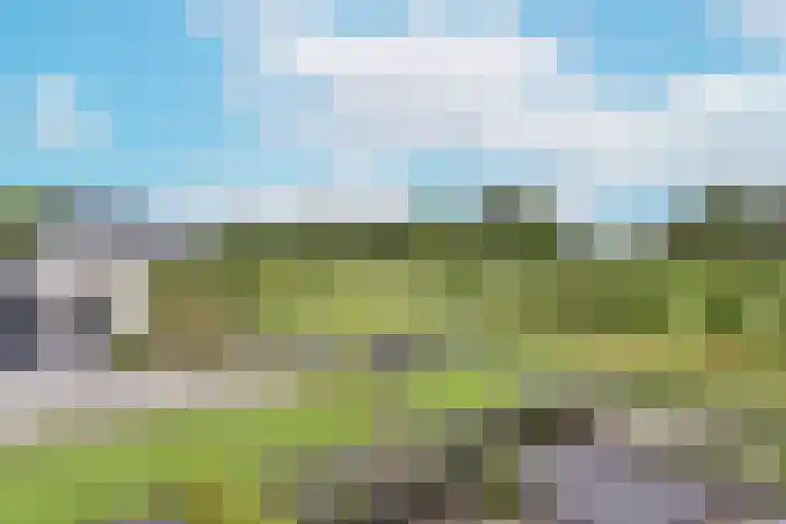 Korenbloem 96 Mijdrecht thumbnail 7