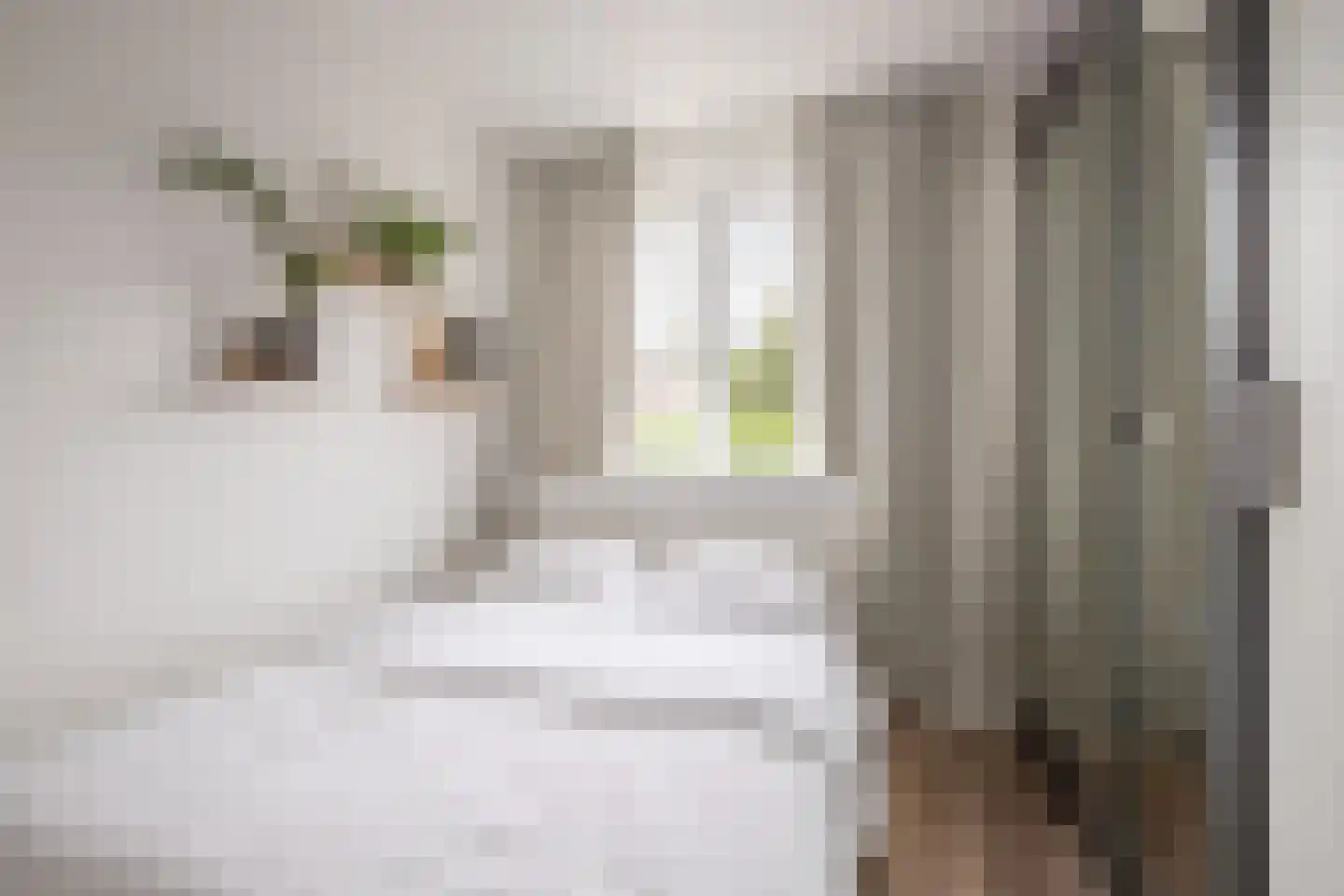 Korenbloemdreef 12 Herkenbosch thumbnail 12
