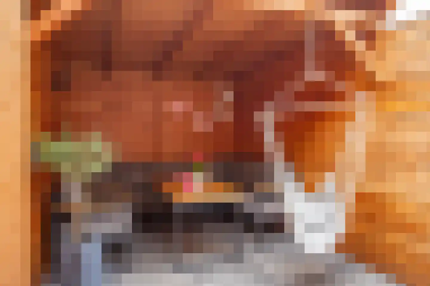Korenbloemdreef 12 Herkenbosch thumbnail 21