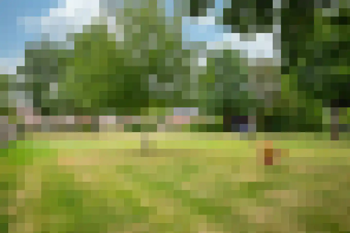 Korenbloemdreef 12 Herkenbosch thumbnail 28
