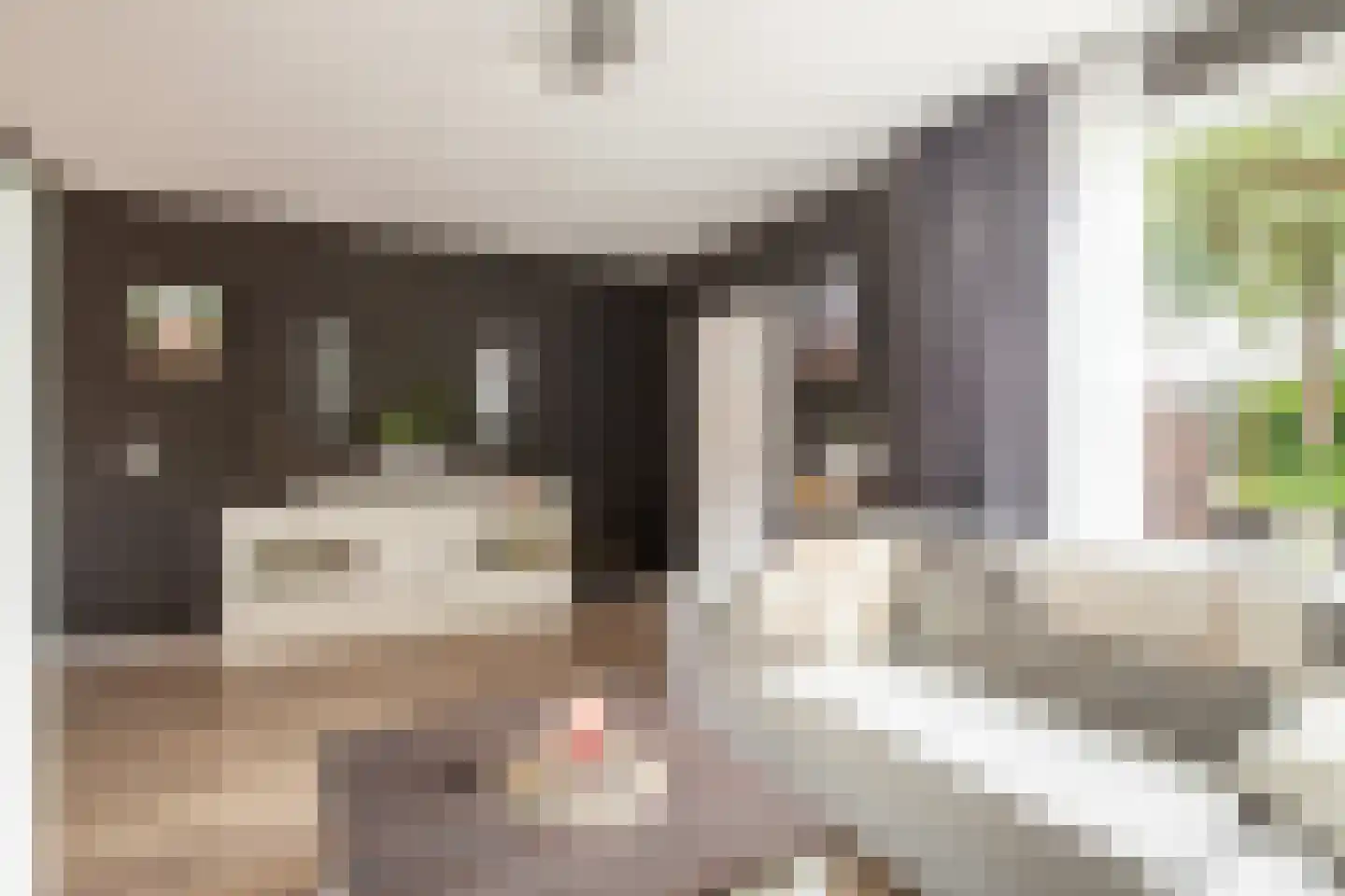 Korenbloemdreef 12 Herkenbosch thumbnail 4