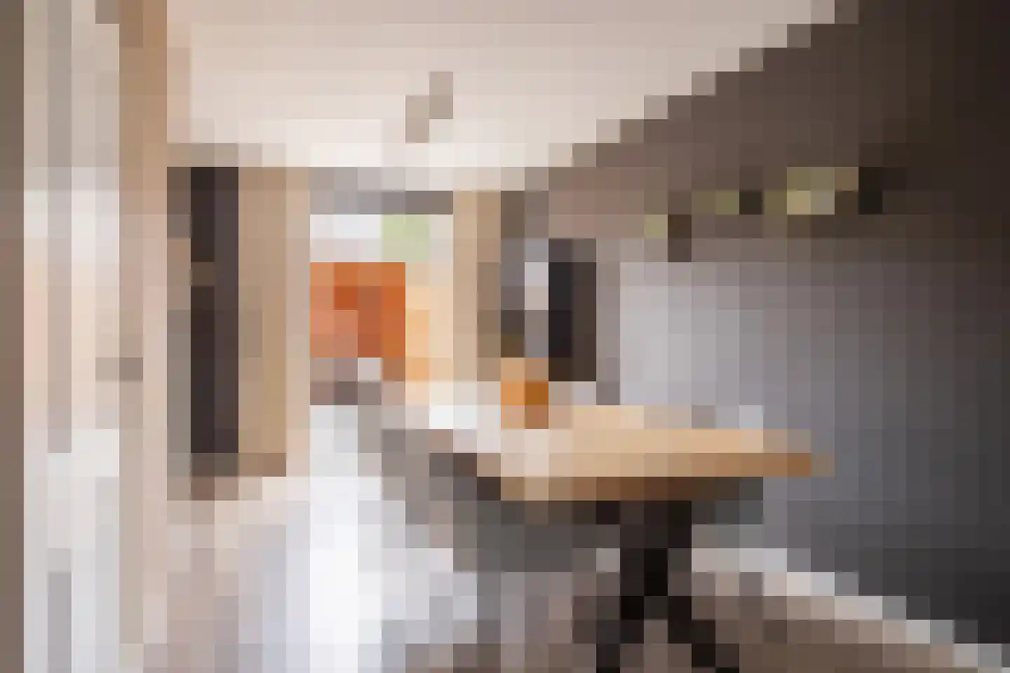 Korenbloemdreef 12 Herkenbosch thumbnail 6