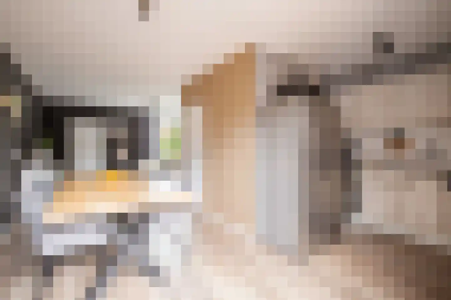 Korenbloemdreef 12 Herkenbosch thumbnail 8