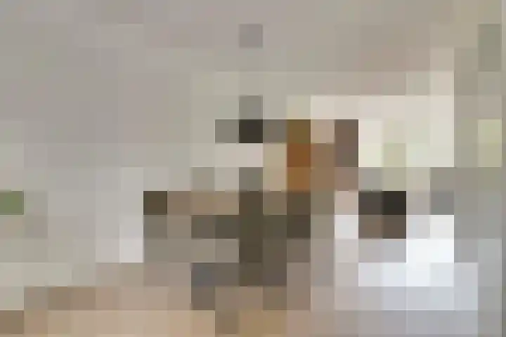 Korenbloemdreef 35 Harderwijk thumbnail 13