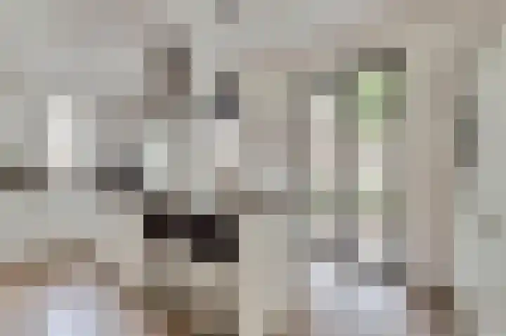 Korenbloemdreef 35 Harderwijk thumbnail 14