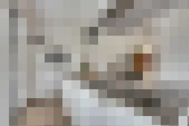 Korenbloemdreef 35 Harderwijk thumbnail 15