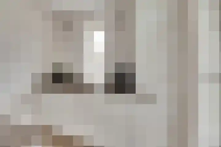 Korenbloemdreef 35 Harderwijk thumbnail 16