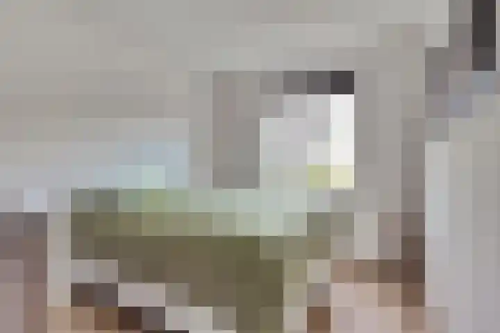 Korenbloemdreef 35 Harderwijk thumbnail 18