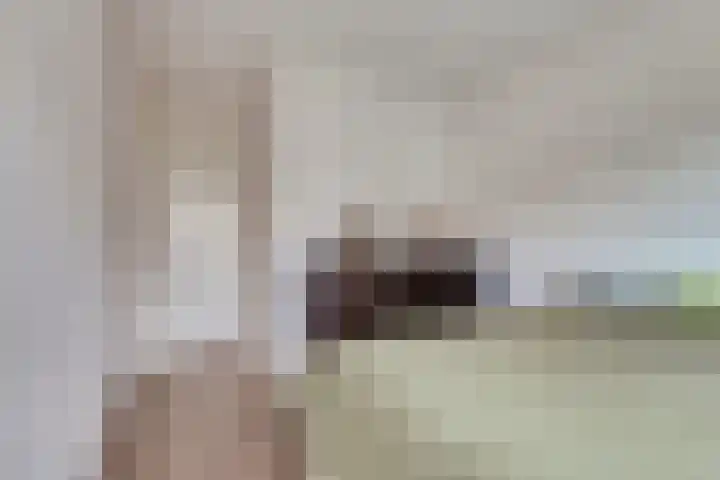 Korenbloemdreef 35 Harderwijk thumbnail 19