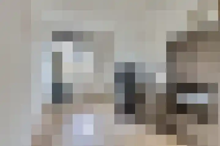 Korenbloemdreef 35 Harderwijk thumbnail 22